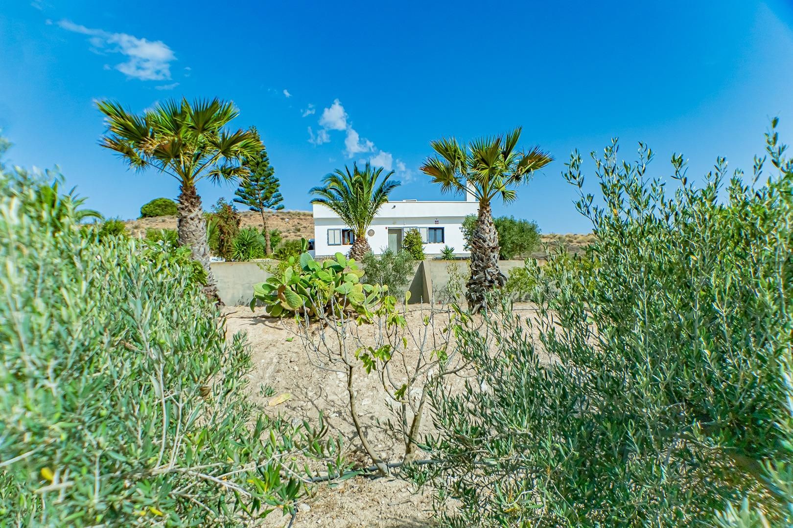 Garden of House or chalet for sale in Níjar  with Air Conditioner, Private garden and Swimming Pool