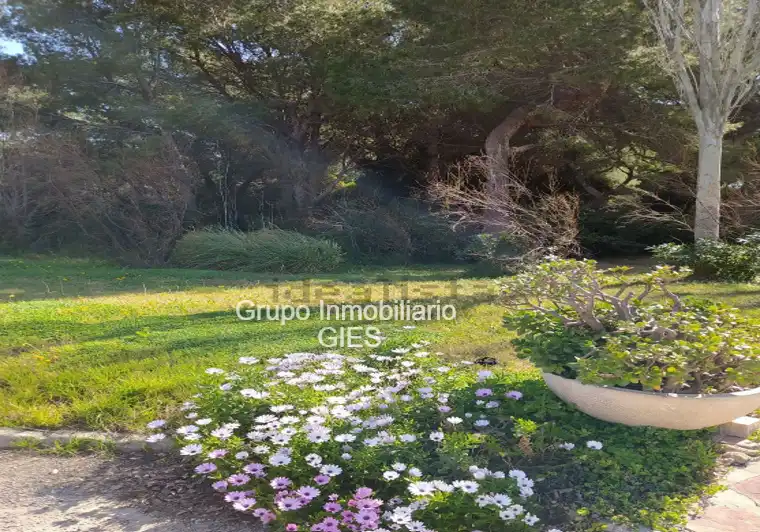 Apartamento en venta en Valencia con Aire acondicionado, Calefacción y Horno