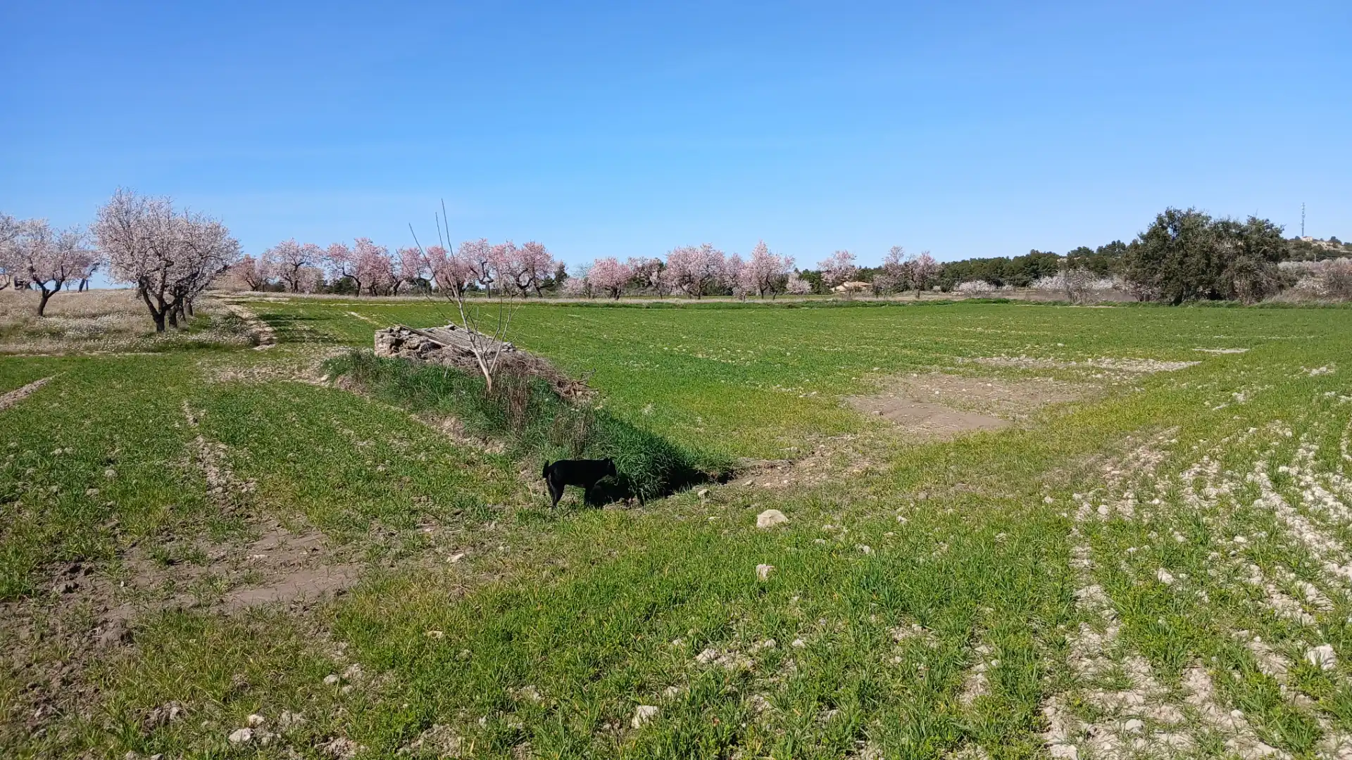 Terreni e lotti in vendita a Valderrobres, imagen 11
