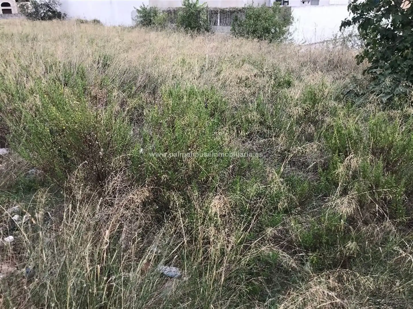 Wohnbaugrundstück zum Verkauf in Muro, imagen 6