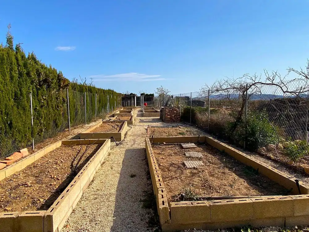 Jardín de Casa o chalet en venta en El Pinós / Pinoso