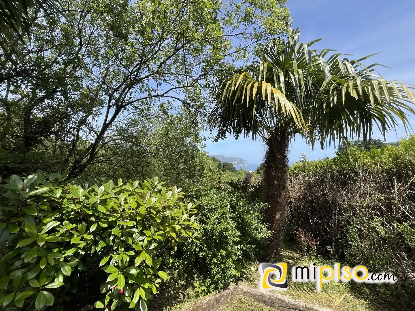 Casa o chalet en venta en Limpias con Jardín privado
