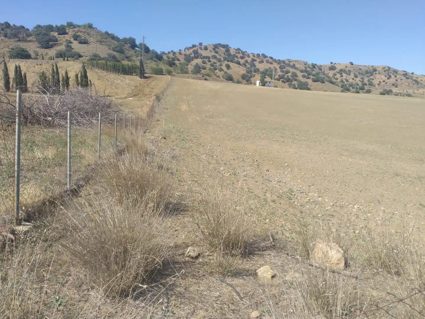 Terrenys i solars en venda a gibralgalia, imagen 9