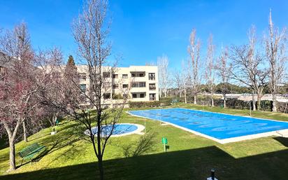 Swimming pool of Flat for sale in Las Rozas de Madrid  with Heating, Terrace and Oven