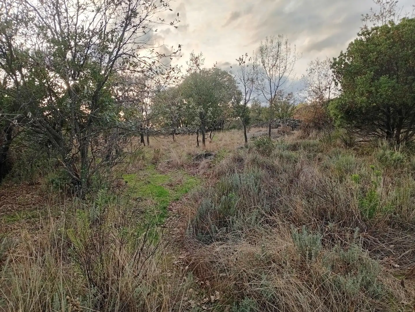 Terreni e lotti in vendita a Villanueva de la Vera, imagen 58