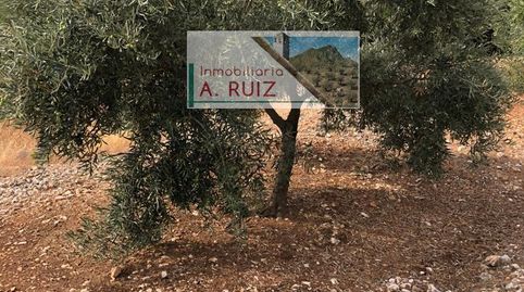 Foto 2 de Terreny en venda a Priego de Córdoba, Córdoba