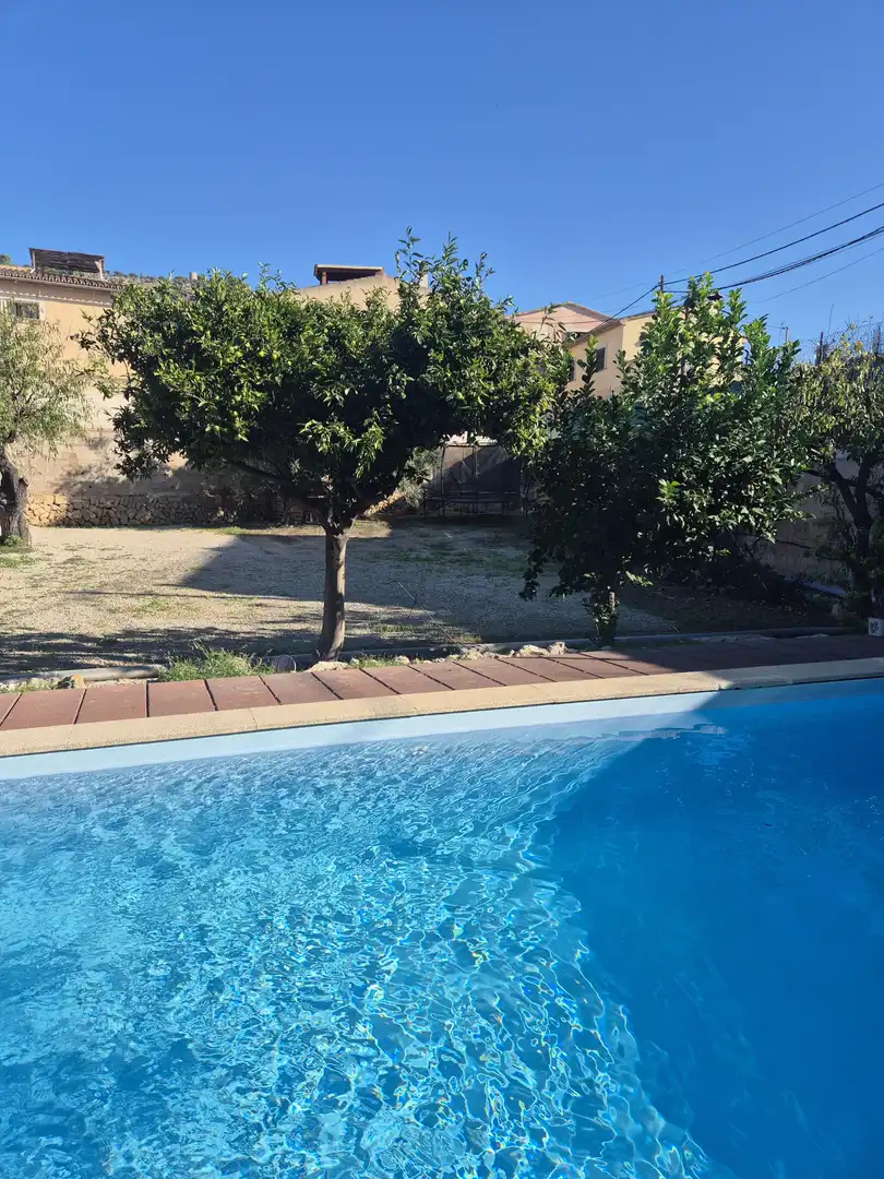 Rez-de-chaussée avec piscine à louer à Calvià pueblo, imagen 24