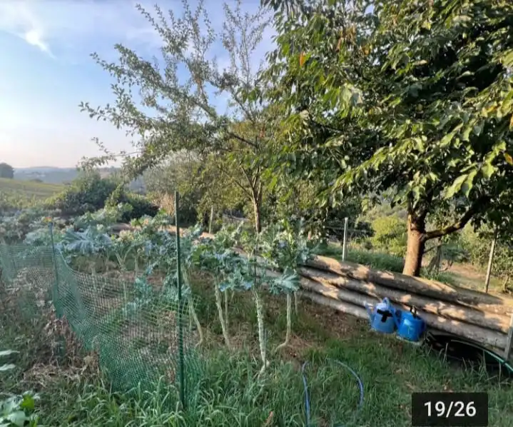 Casa o chalet en venta en O Saviñao 