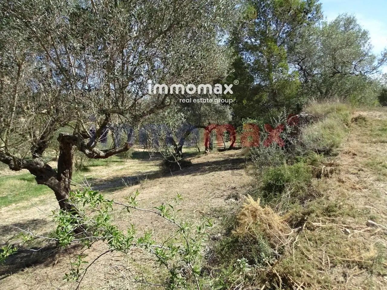 Terrenos y solares en venta en 63, imagen 7