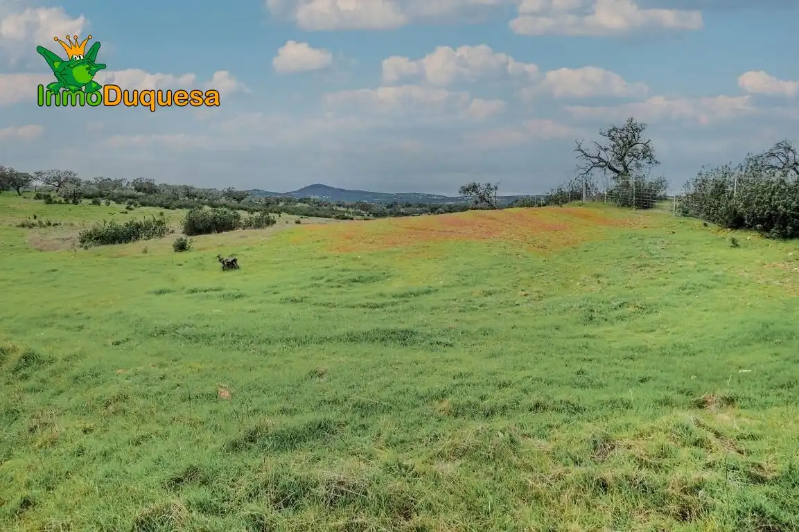 Casa rústica en venda a Paymogo, imagen 12