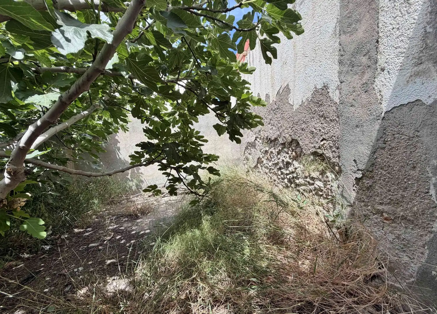 Land for sale in Almería