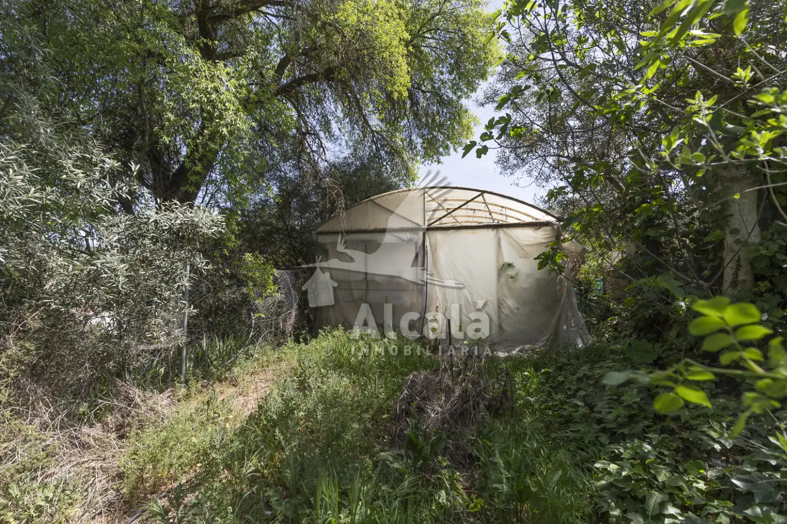 Jardín de Casa o chalet en venta en Valverde de Alcalá con Calefacción, Terraza y Trastero