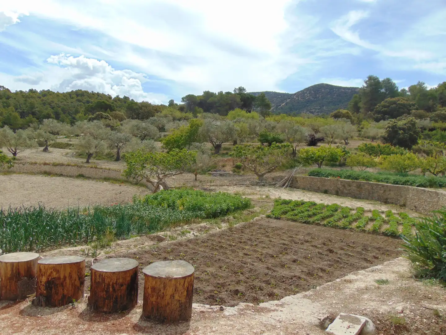 Casa rustica con piscina in vendita a Partida Polop Baix, imagen 73