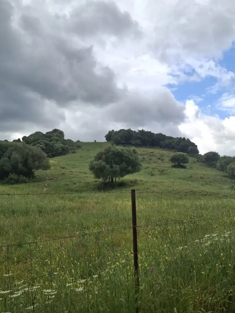 Country house for sale in Casares pueblo, imagen 8
