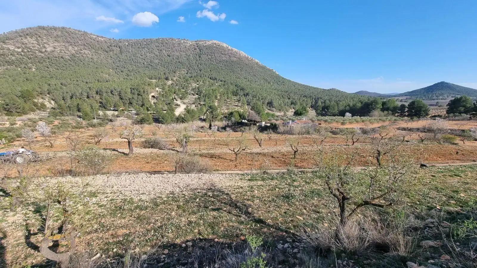 Terrenys i solars en venda a Camino UCENDA POLIGONO 16 PARCELAS 97 Y 98, imagen 7