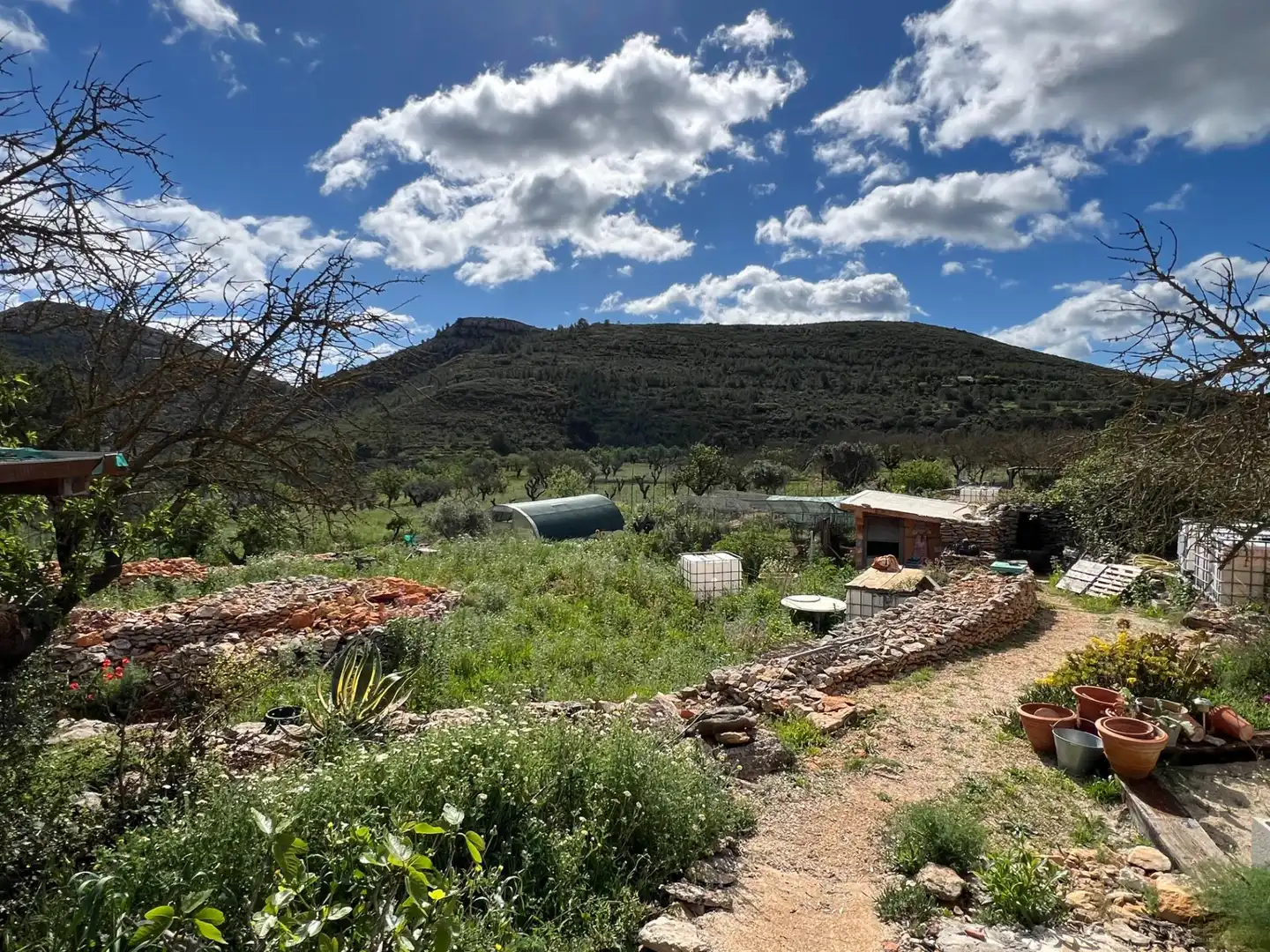 Finca rústica en venta en Llíber