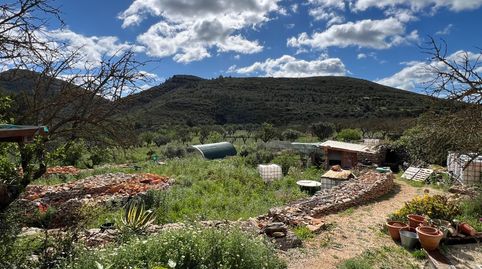 Foto 5 de Finca rústica en venda a Llíber, Alicante