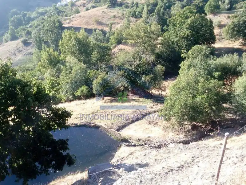 Terreni e lotti in vendita a Capileira, imagen 11