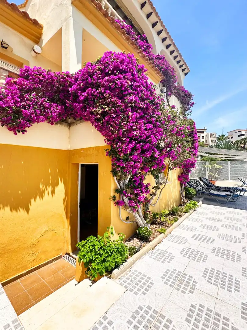 Vista exterior de Casa adosada en venta en Orihuela con Aire acondicionado, Terraza y Trastero