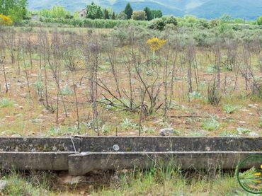Terreno residenziale in vendita a Flores de Sil - La Placa