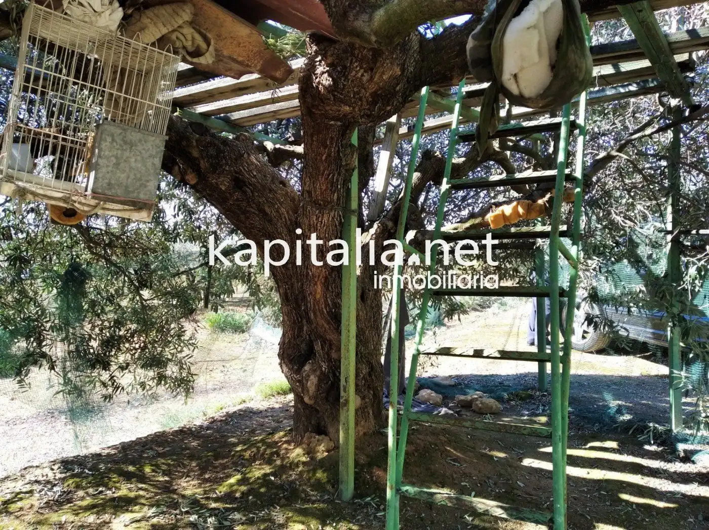 Casa o chalet en venta en Agullent