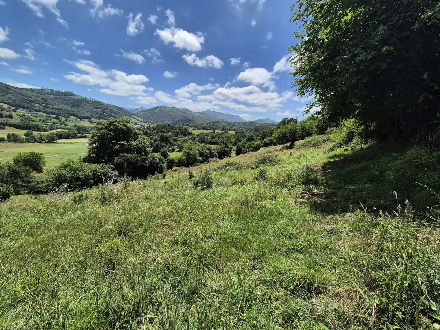 Residential land for sale in Grado, imagen 5