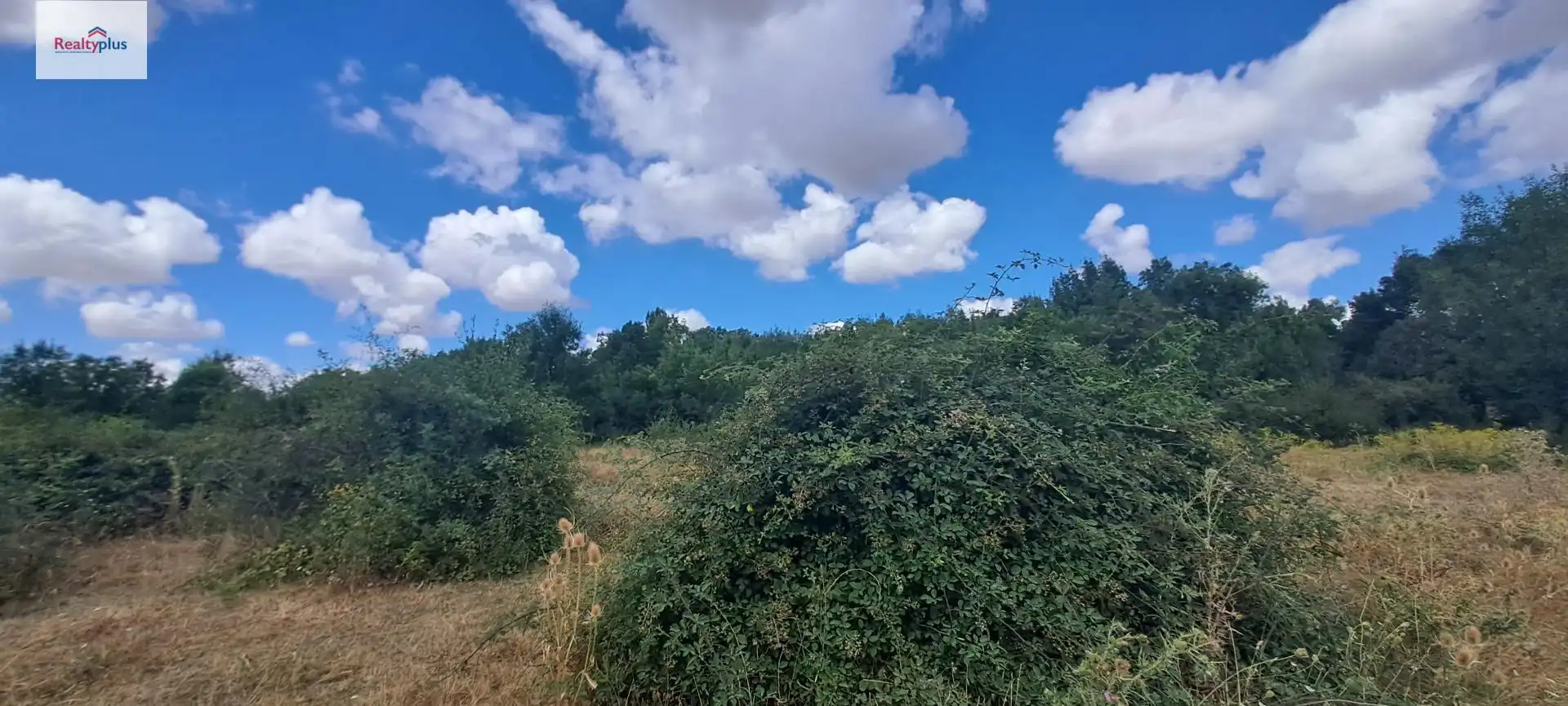 Terreni e lotti in vendita a Sotosalbos, imagen 23