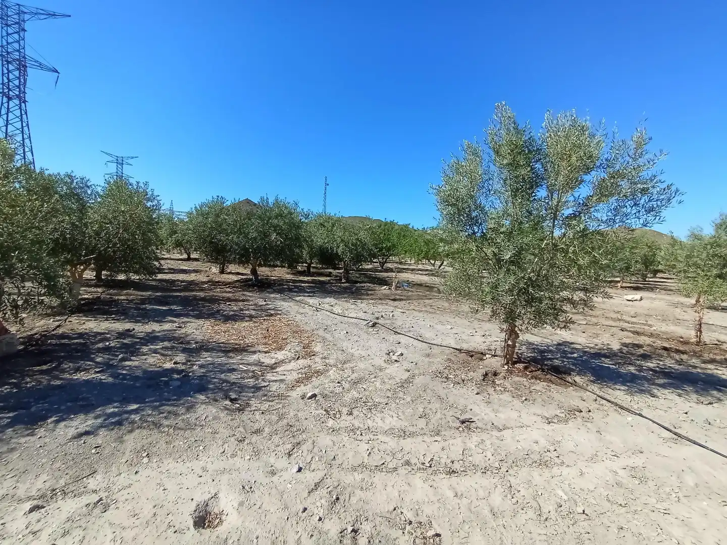 Terreni e lotti in vendita a Pedanías Sur, imagen 3