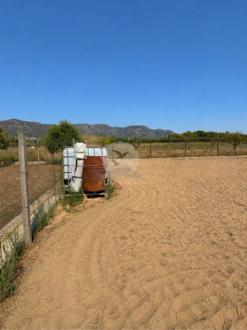 Rural land for sale in Pau, imagen 11