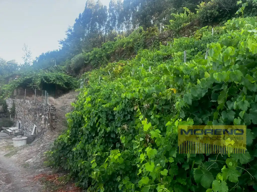 Country house for sale in Paradela, imagen 27