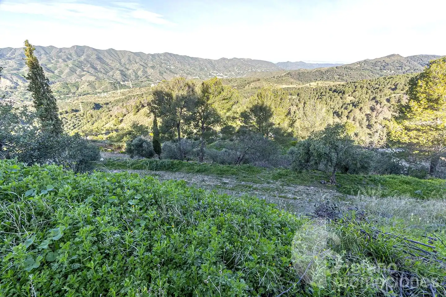 Casa rústica amb jardí en venda a Del Colmenar, imagen 26