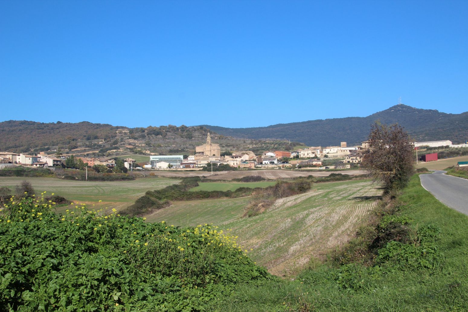 Casa o xalet en venda en Arellano amb Calefacció i Jardí privat