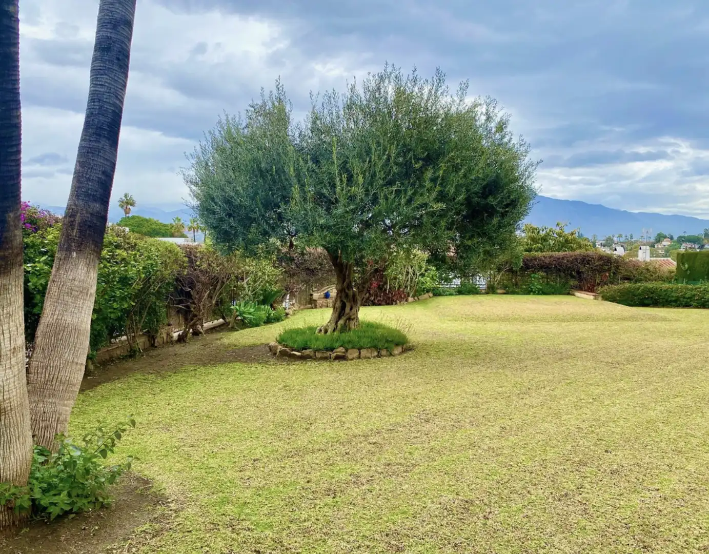 Jardí de Casa o xalet en venda en Estepona amb Aire condicionat, Calefacció i Jardí privat