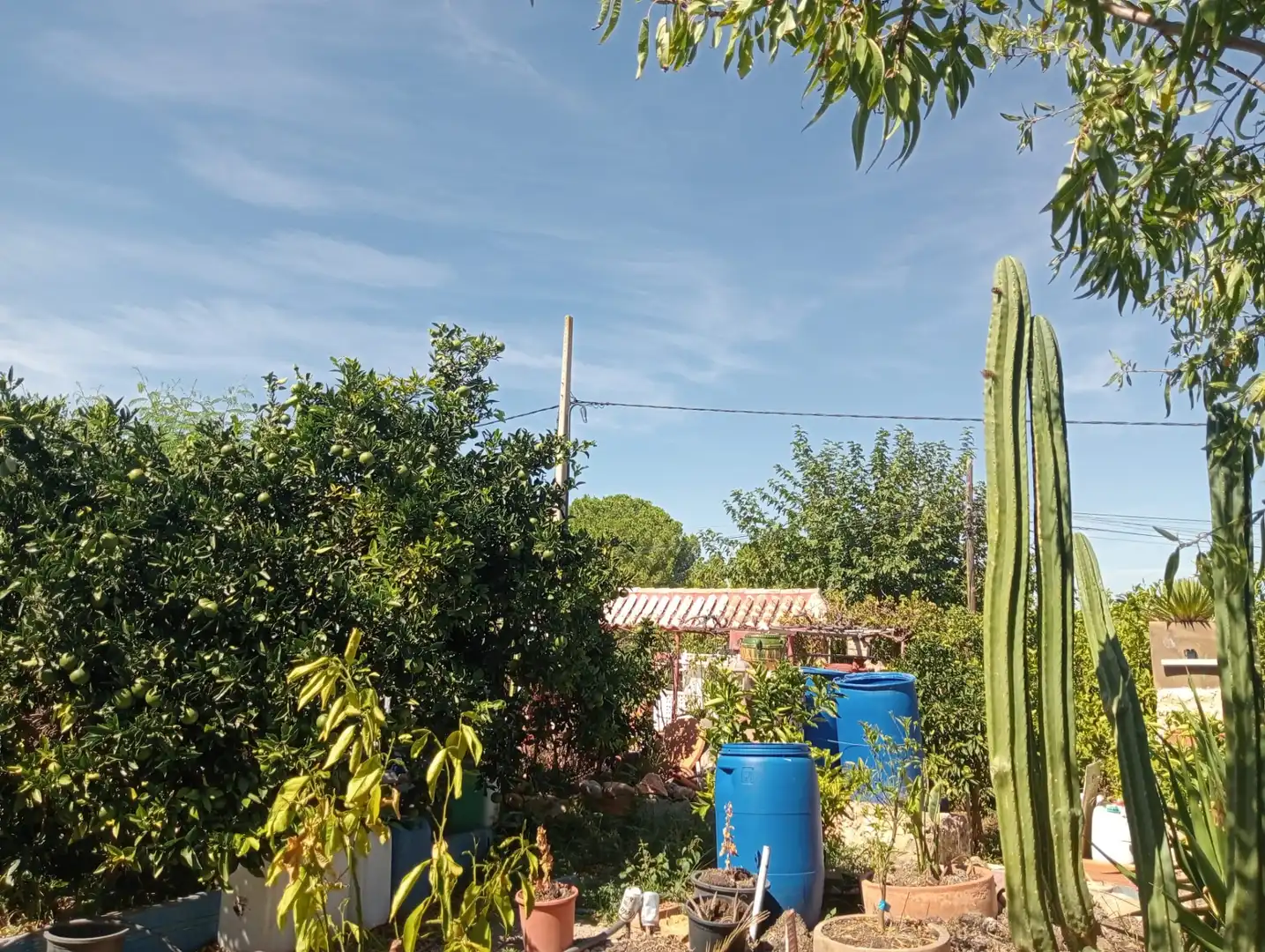 Casa o chalet en venta en Albalat dels Tarongers con Jardín privado, Piscina y Amueblado