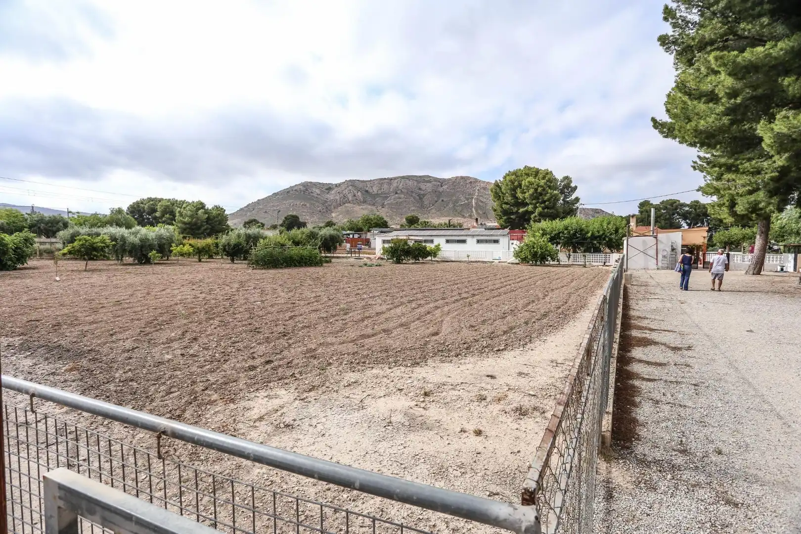 Casa o xalet en venda en Elda amb Aire condicionat, Calefacció i Jardí privat