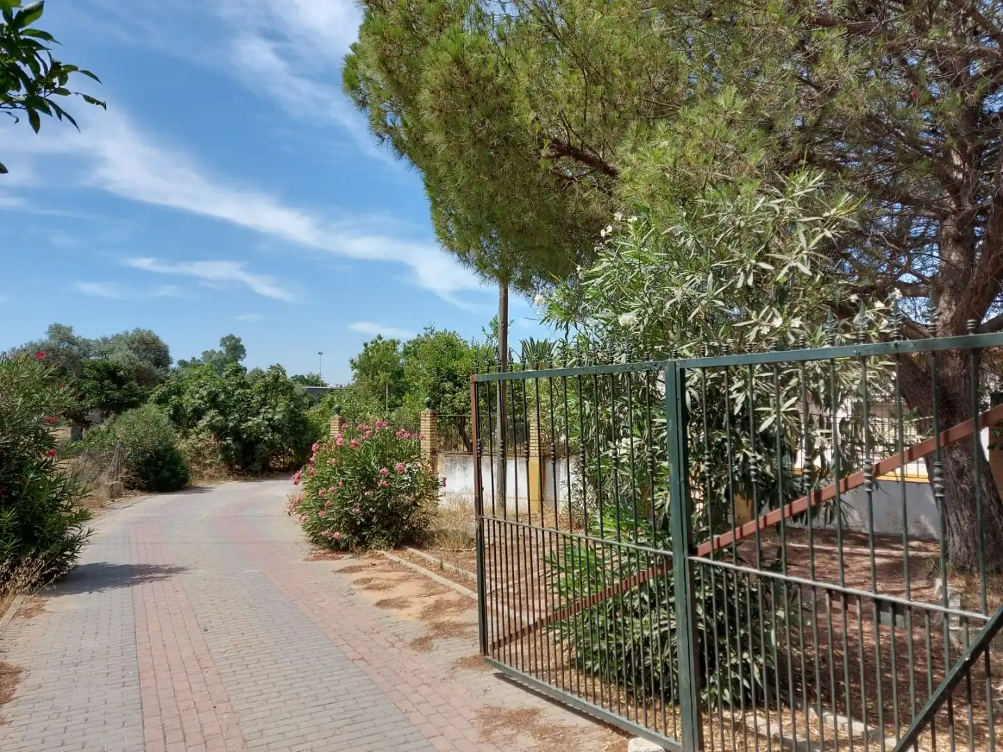 Jardí de Casa o xalet en venda en Dos Hermanas amb Terrassa, Piscina i Moblat
