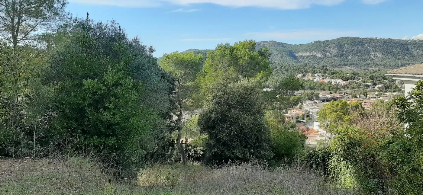 Terrenys i solars en venda a Canyelles, imagen 4