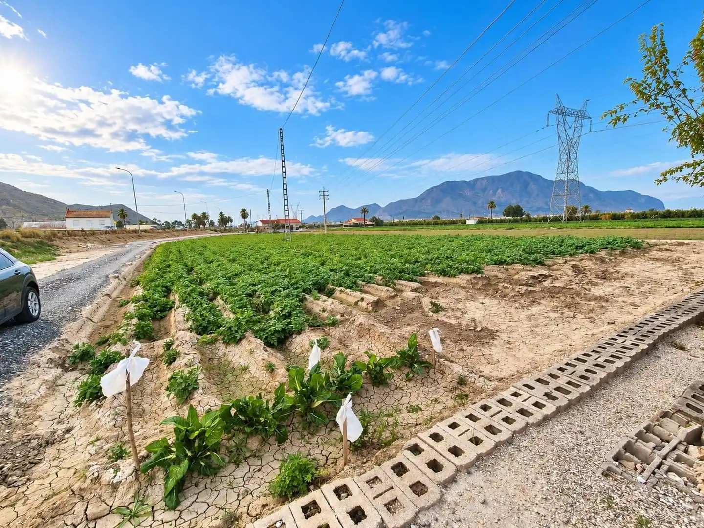 Chalet con jardín en venta en Orihuela ciudad, imagen 19
