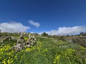 Vista exterior de Finca rústica en venta en El Rosario con Jardín privado, Terraza y Trastero