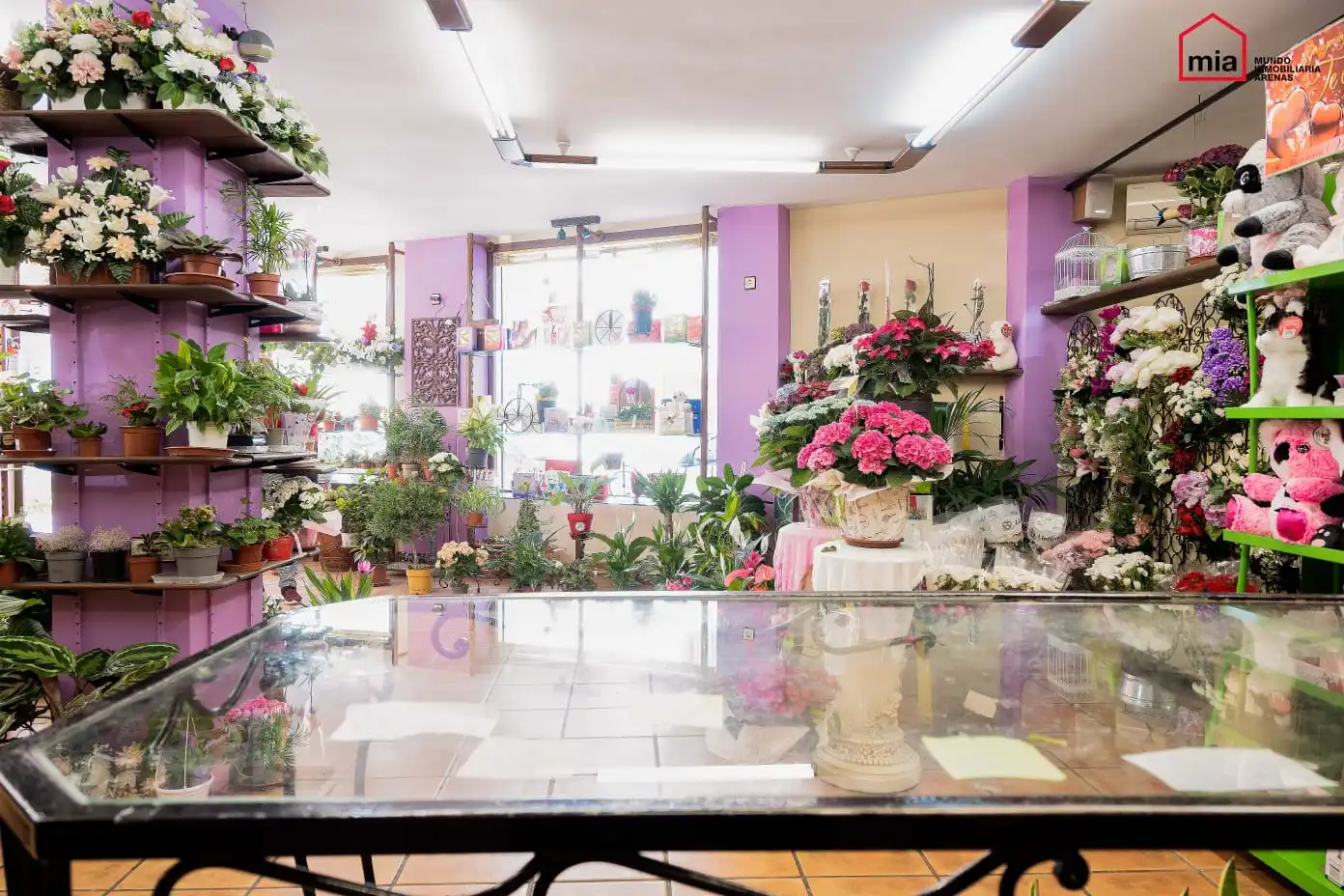 Locale commerciale in vendita a Íllora, imagen 7