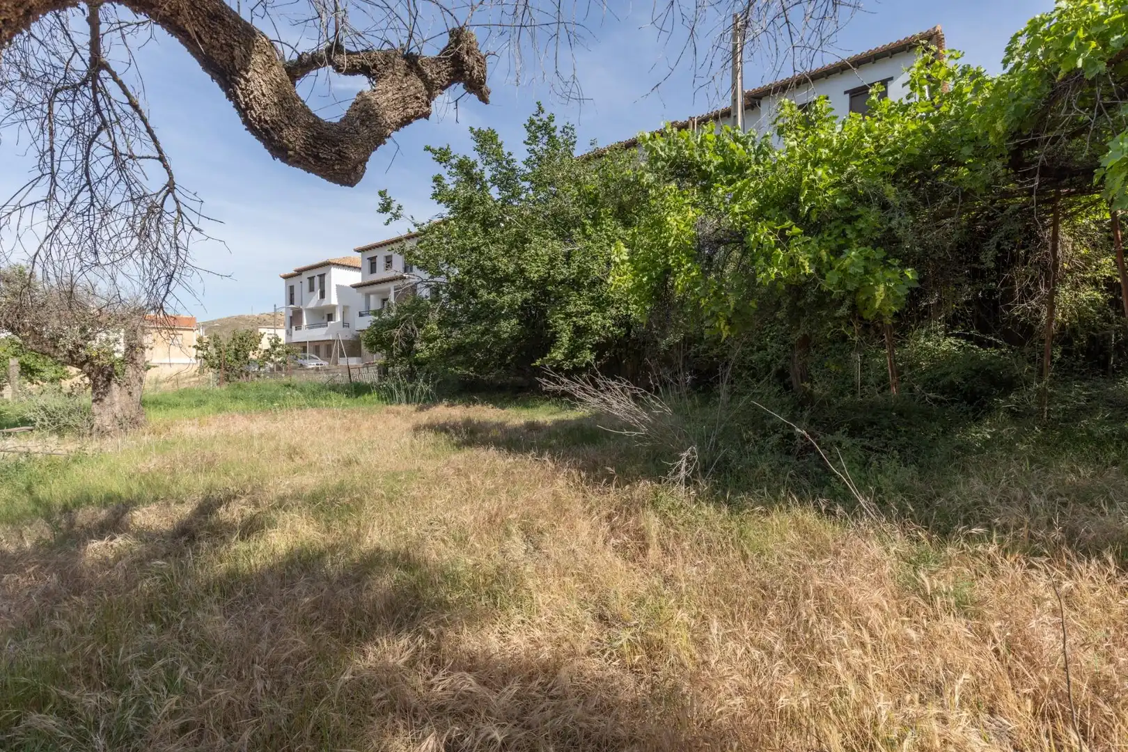 Lands and plots for sale in Carretera de Maitena, imagen 4