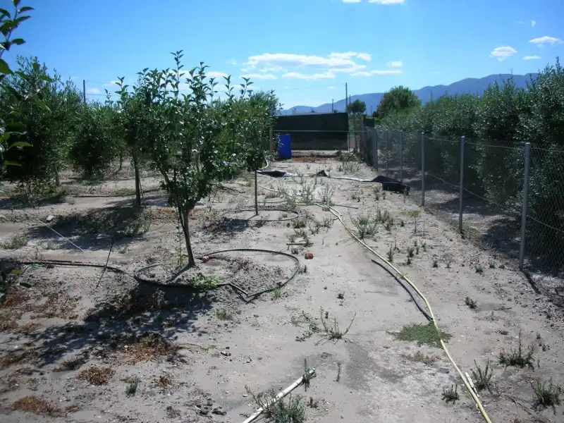 Jardín de Finca rústica en venta en La Ràpita con Jardín privado, Piscina y Alarma