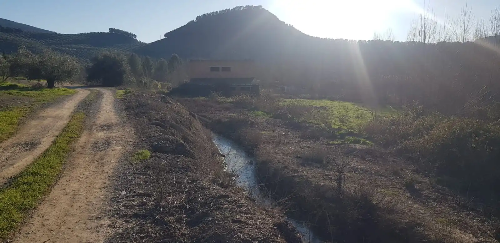 Terreni e lotti in vendita a Alcaudete, imagen 10