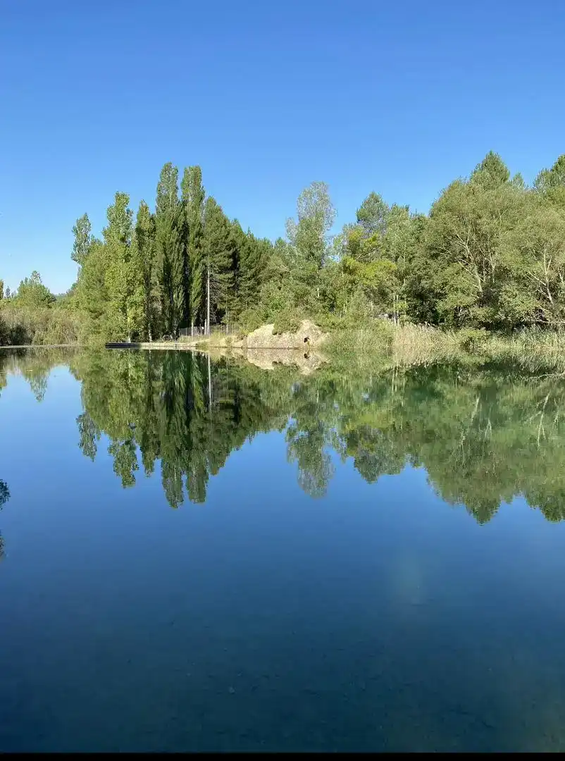 Exterior view of Land for sale in Cañamares