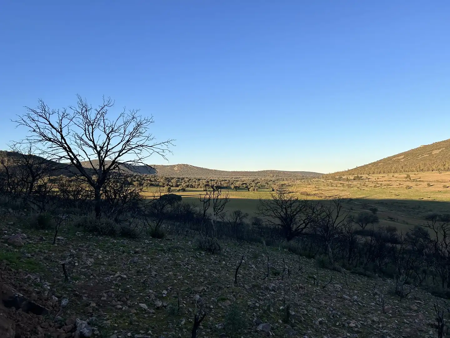 Terreny rústic en venda a Peraleda del Zaucejo, imagen 27