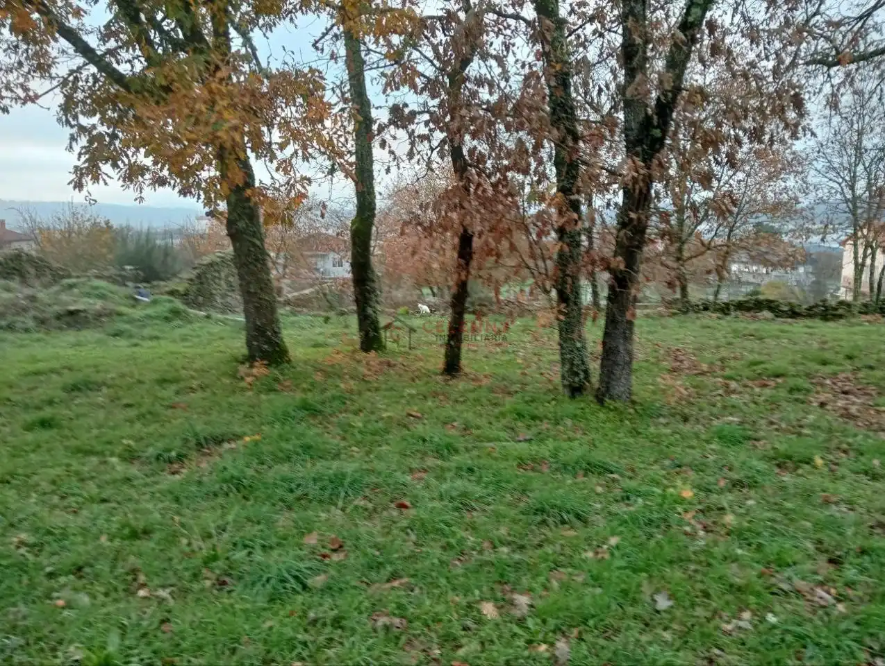 Terreny residencial en venda a San Cibrao das Viñas, imagen 19