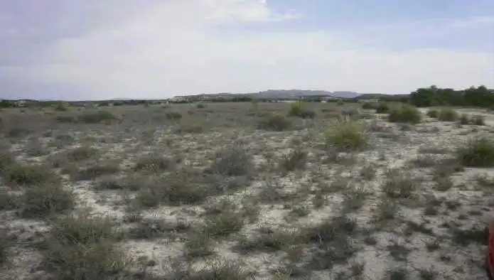 Rustikales Grundstück zum Verkauf in Paraje Carrasquilla, imagen 3