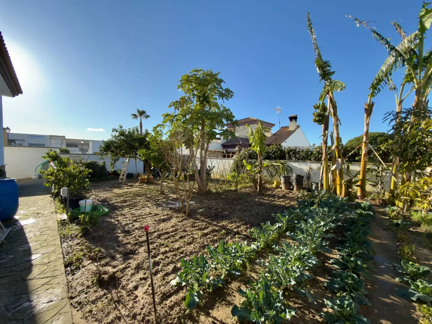 Chalet con jardín en venta en Medina Sidonia, imagen 18