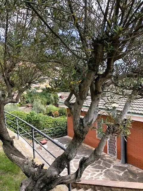 Haus oder Chalet zum Verkauf in Calle GAVARRES, La Palma de Cervelló