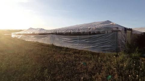 Photo 5 of Land for sale in Algarrobo Costa, Málaga